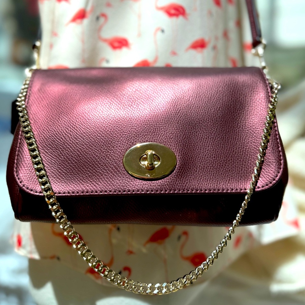 NEW w/o tags Coach F34604 Mini Ruby Leather Crossbody Metallic Cherry